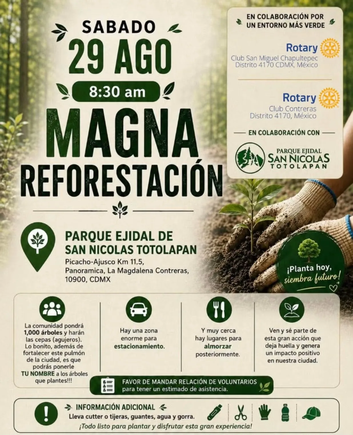 Jornada de reforestación