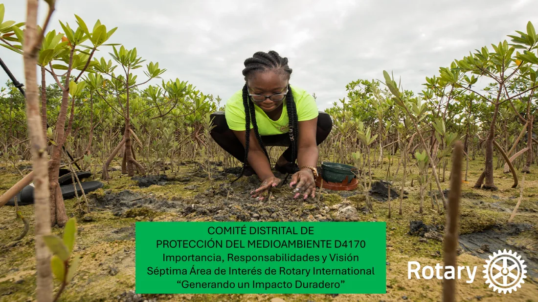 Portada de la presentación del Comité
